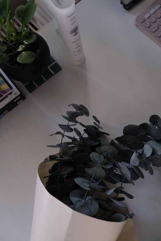 resized_112080
